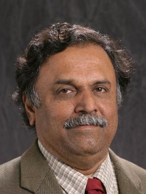 Sundararaj Iyengar photo